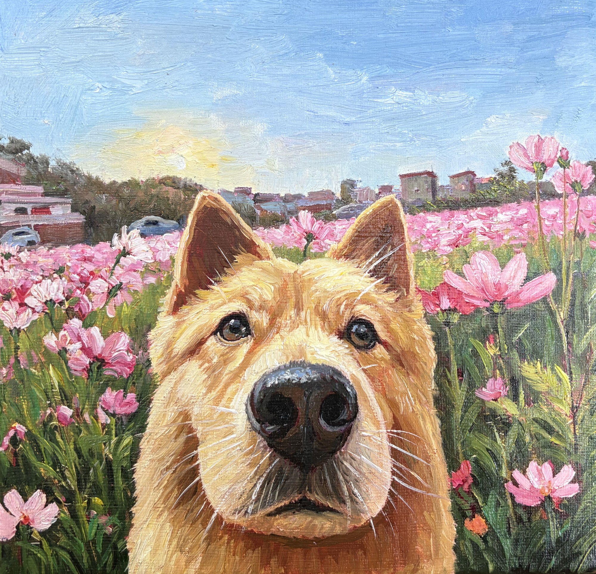 Pawtraits pet oil painting showcase